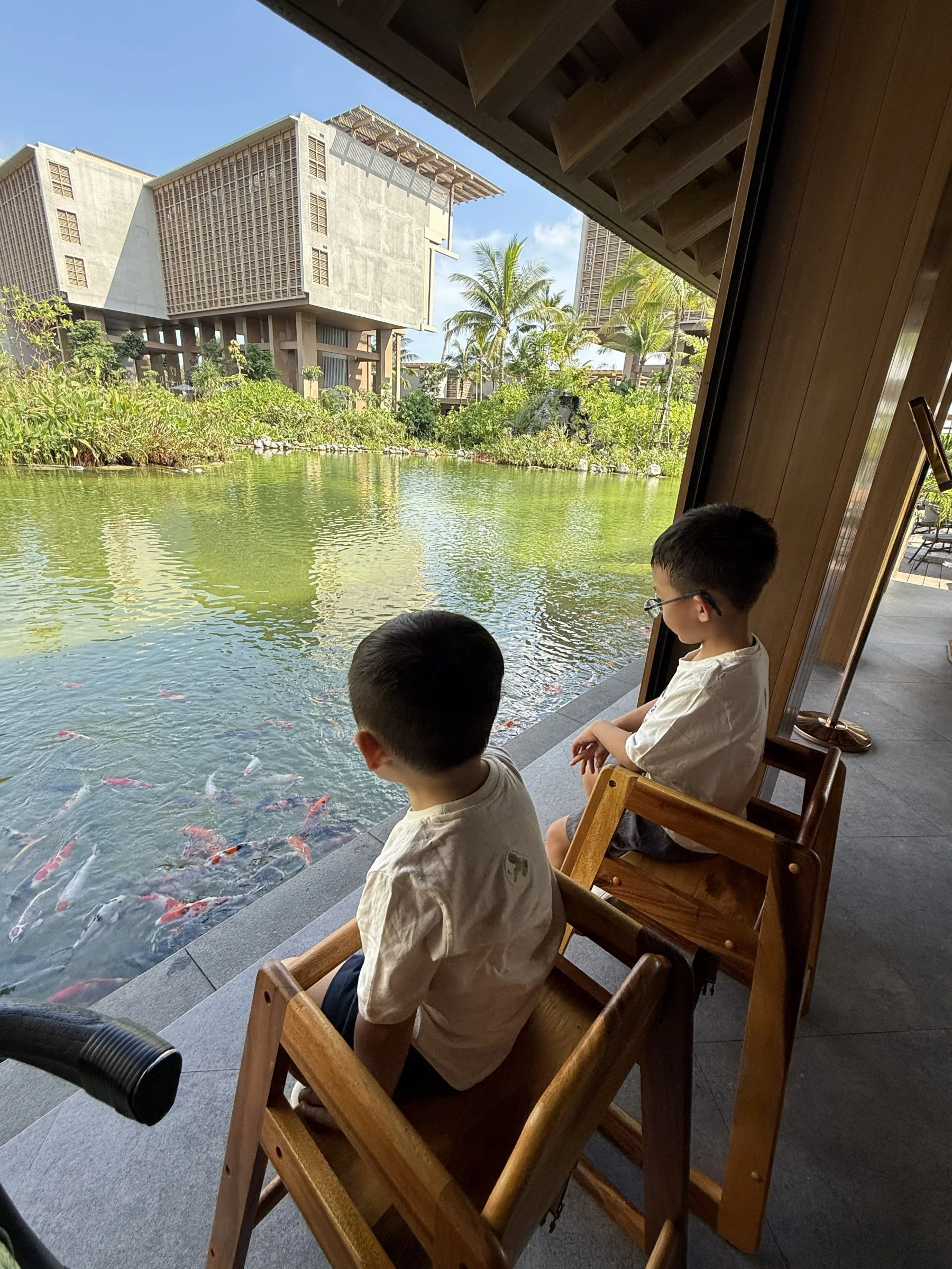 The boys sitting beside the resort's koi pond, watching the fish.
